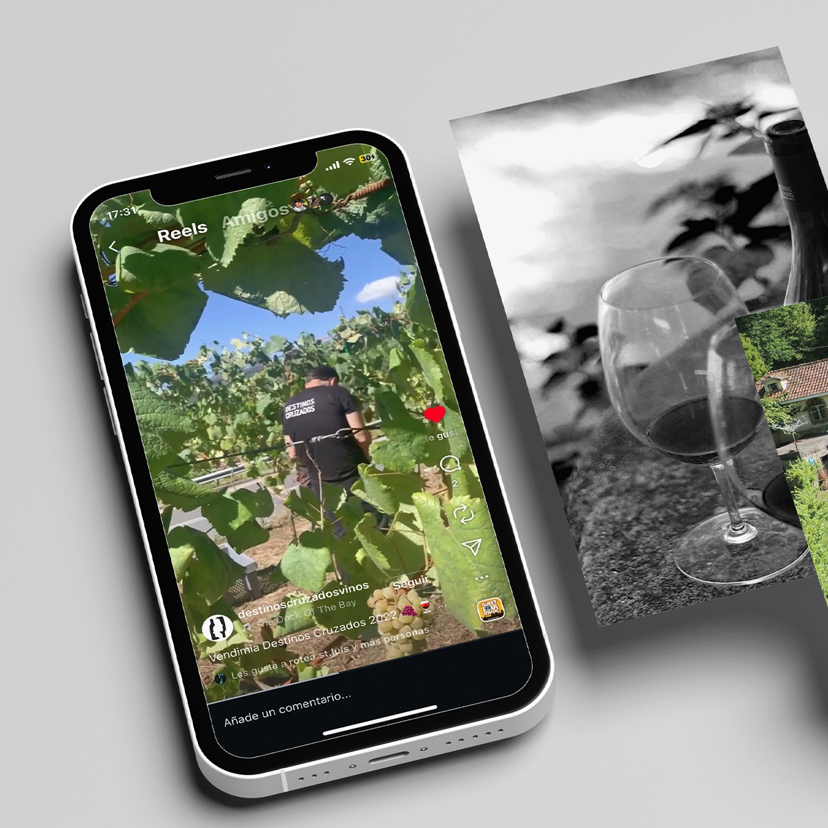 fila-1-columna-1 (2)