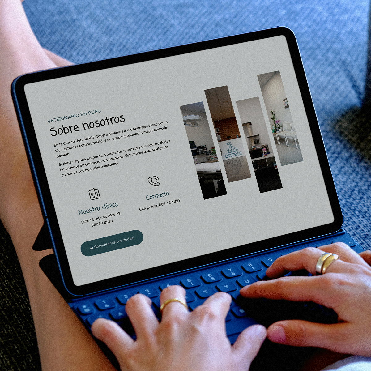 portfolio-estudio-soja-diseno-web-onceta-1