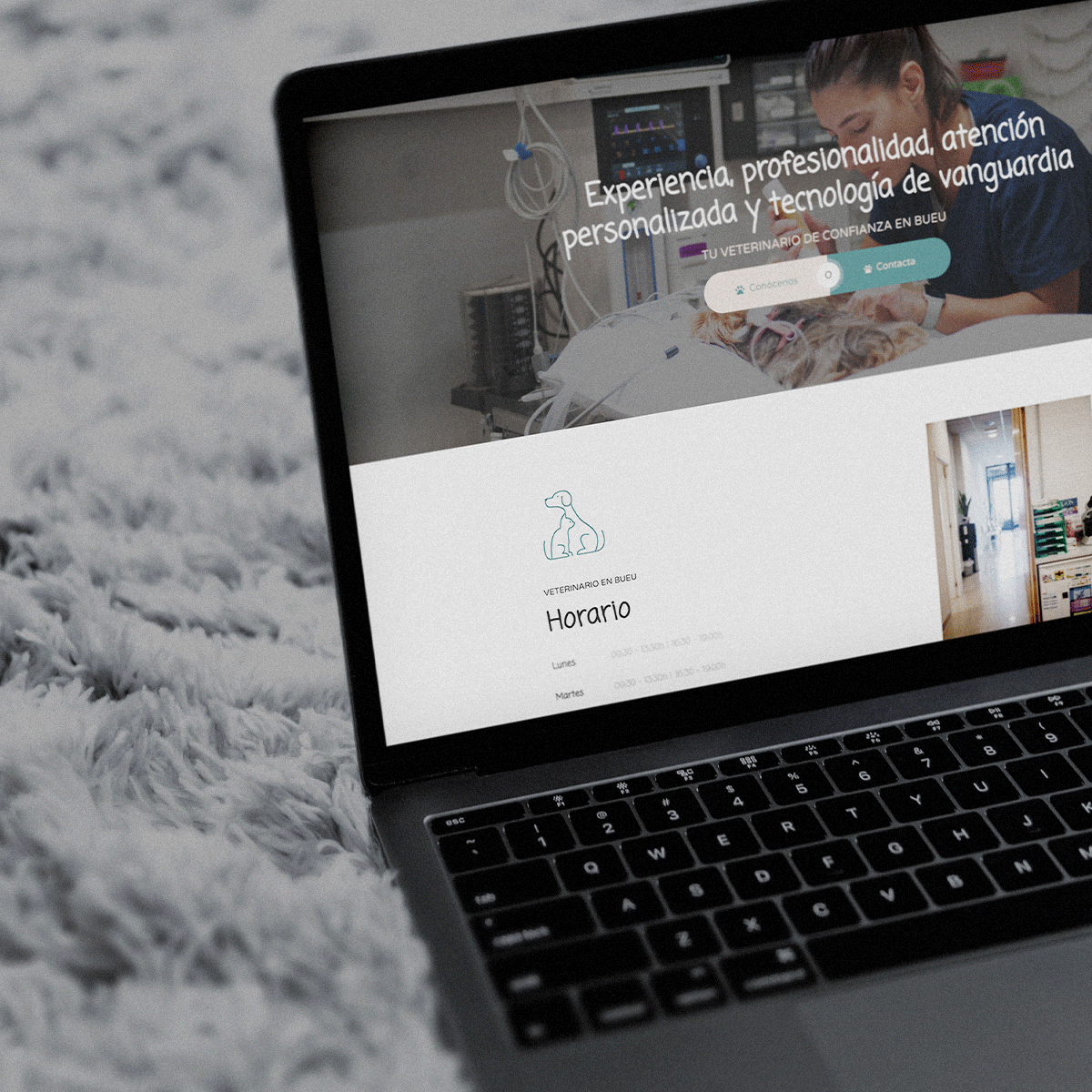 portfolio-estudio-soja-diseno-web-onceta-3