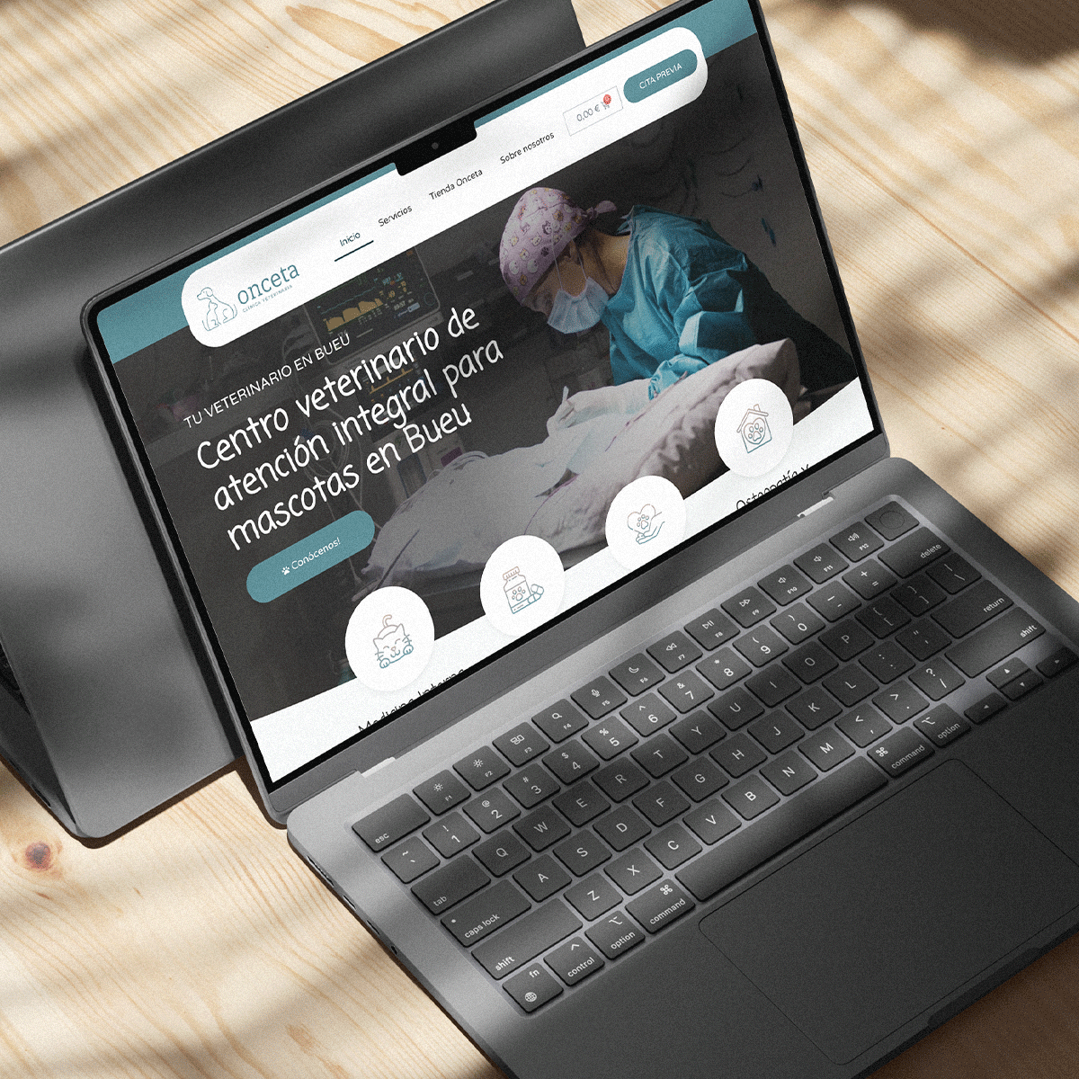 portfolio-estudio-soja-diseno-web-onceta-2